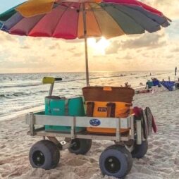 Big Kahuna Beach Wagon