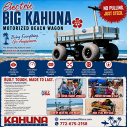Electric_Big_Kahuna_Square_Ad Electric_Big_Kahuna_Square_Ad
