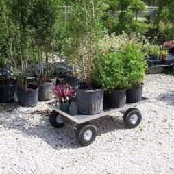 All Aluminum Pull Wagon from Kahuna Wagons loaded full of potted plants.