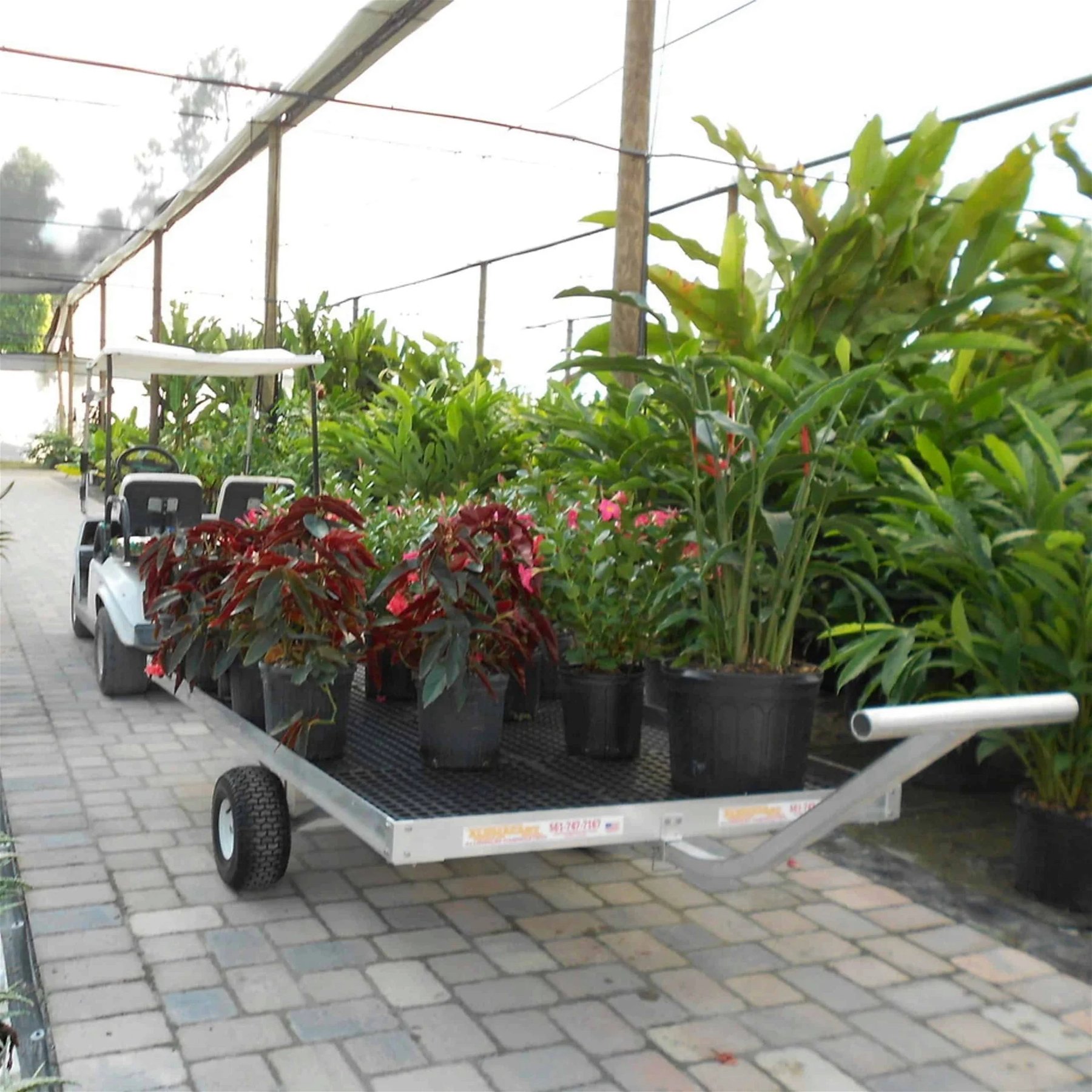 A SEMI-TRACKING TRAILER loaded with potted plants, attached to a golf cart in a garden nursery center.