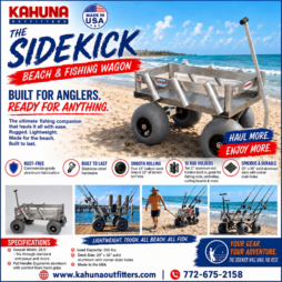 Sidekick_Square_Ad
